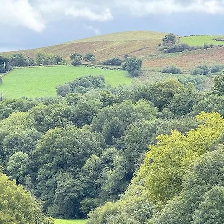 Karrika Buria * Saint-Martin-d'Arberoue
