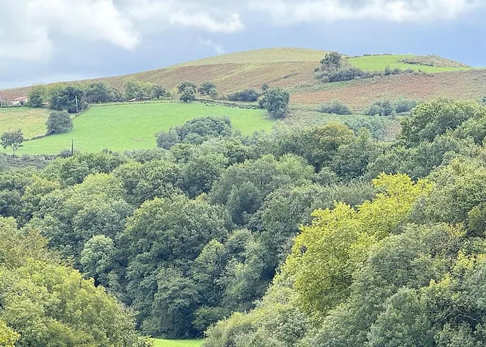 Karrika Buria * Saint-Martin-d'Arberoue
